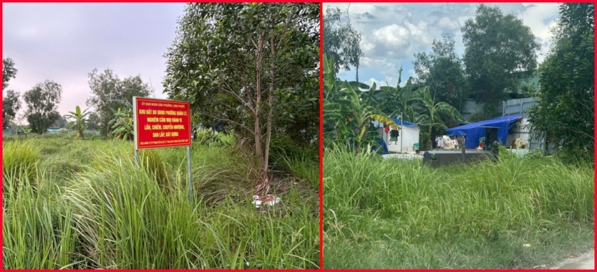 Nhịp cầu bạn đọc