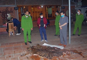 Thái Nguyên: Bắt chủ tịch xã giết mổ hổ nấu cao