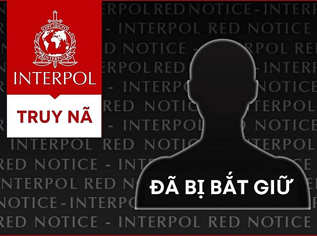 Anh cảm ơn Việt Nam hỗ trợ bắt giữ tội phạm truy nã quốc tế