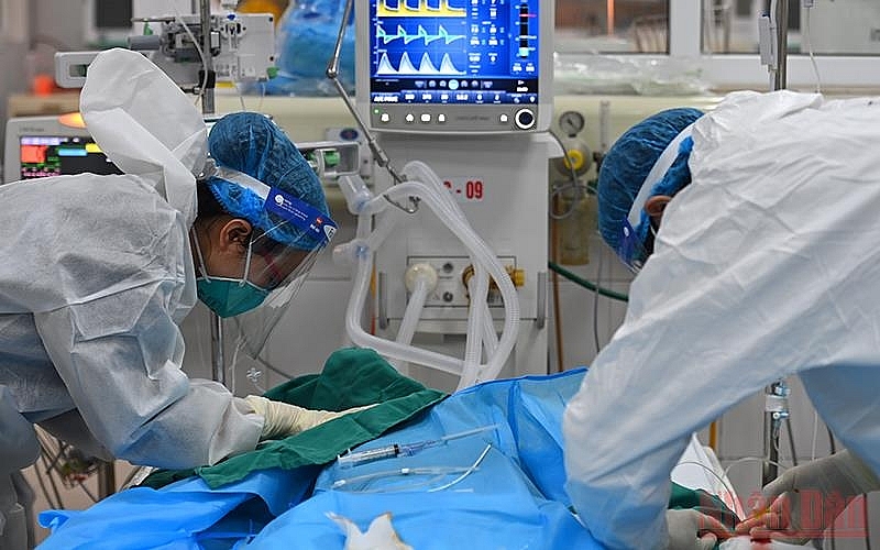 Mùa xuân dã chiến