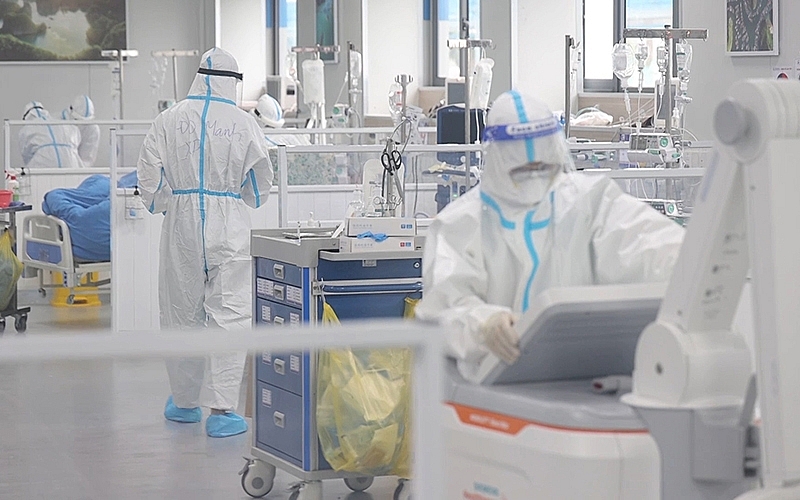 Mùa xuân dã chiến