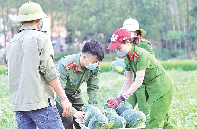 Bản lĩnh của “Thanh kiếm và lá chắn”