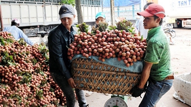 Phát huy Giá trị chỉ dẫn địa lý