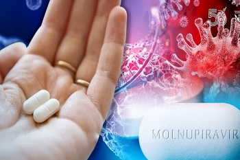 Bộ Y tế chính thức cấp phép cho 3 loại thuốc chứa Molnupiravir sản xuất trong nước