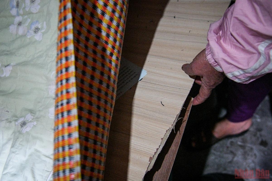 Dân ngụ cư ven sông Hồng chống rét