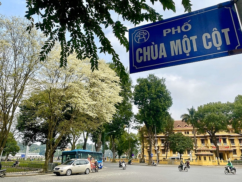 Tháng 3 này nên đi du lịch ở đâu?