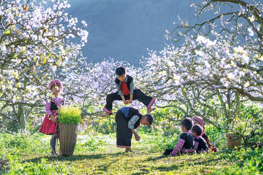 Tháng 3 này nên đi du lịch ở đâu?