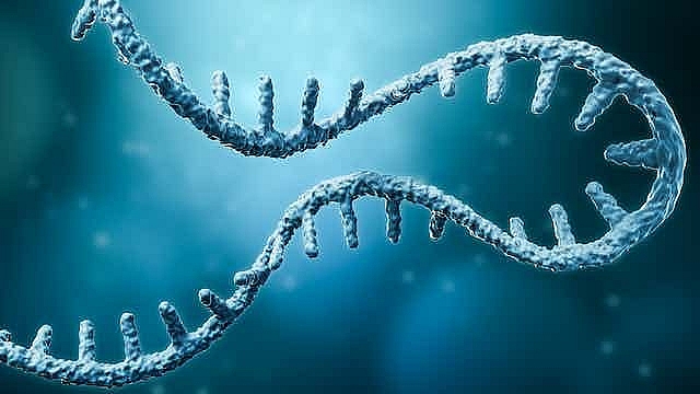 Phương pháp xét nghiệm DNA có thể phát hiện cùng lúc nhiều bệnh di truyền