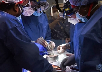 Bệnh nhân được cấy ghép tim lợn đầu tiên trên thế giới đã tử vong