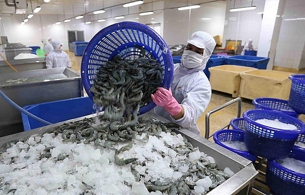 Xuất khẩu tôm đặt mục tiêu 4 tỷ USD