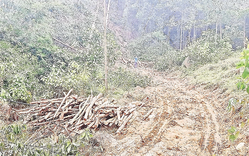 Vườn quốc gia Tam Ðảo đang bị xâm hại