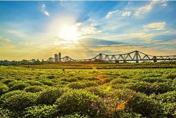 Hà Nội: Nghiên cứu phát triển bãi giữa, bãi bồi ven sông Hồng thành công viên