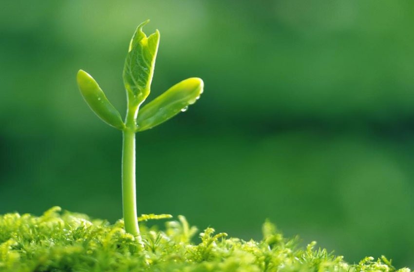 Tử vi hôm nay 24/3/2022: Tuổi Thân tài chính thăng hoa, Tuổi Mùi có tin vui trong chuyện tình cảm