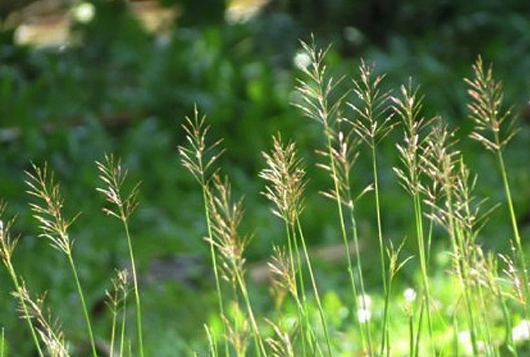 Tử vi 12 con giáp ngày 14/4/2022