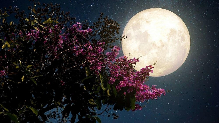 Tử vi 12 con giáp ngày 17/4/2022