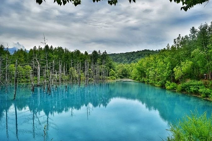 Tử vi hôm nay, tử vi 12 con giáp ngày 20/4/2022