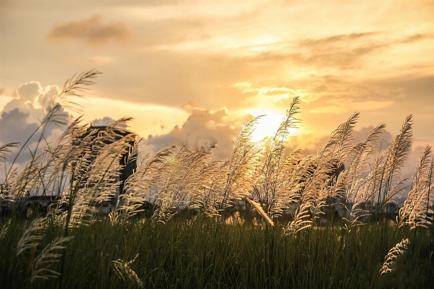 Tử vi ngày 22/4/2022