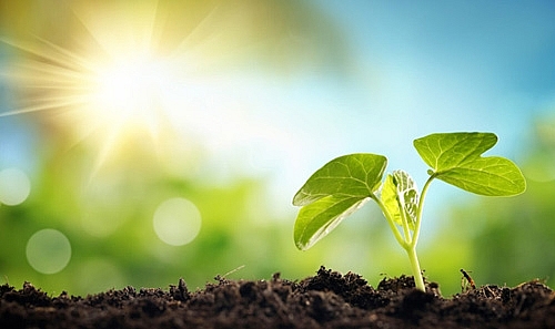 Tử vi hôm nay, xem tử vi ngày 24/4/2022