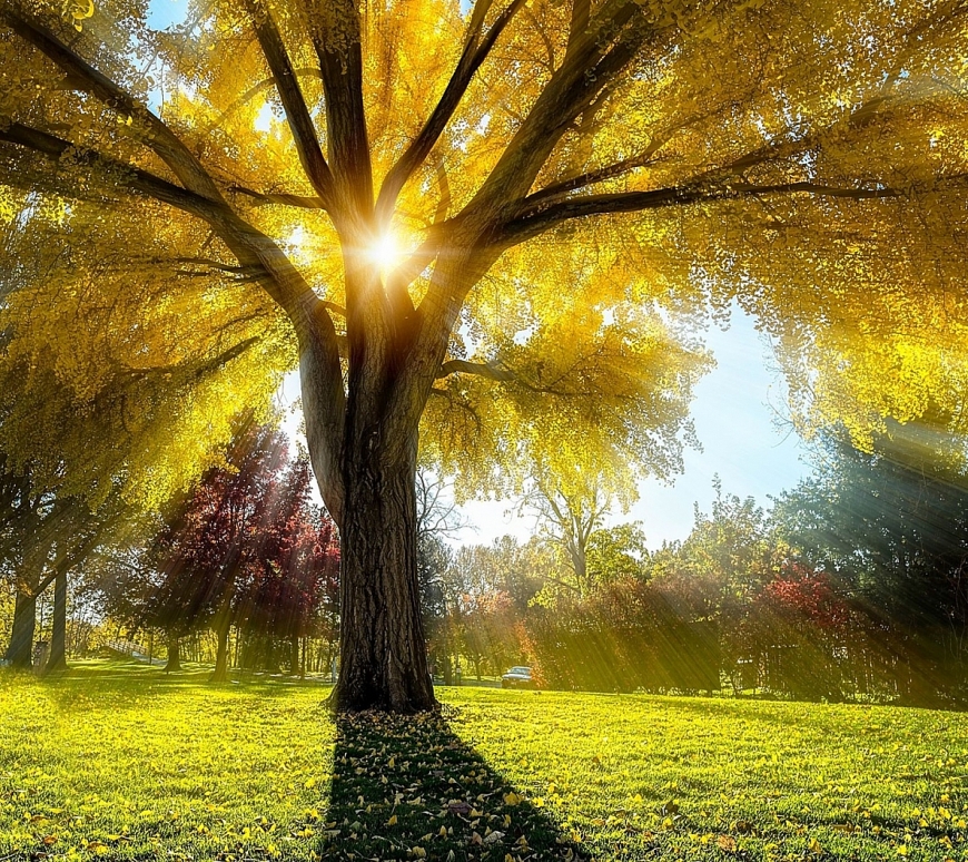 Tử vi hôm nay, xem tử vi ngày 1/5/2022