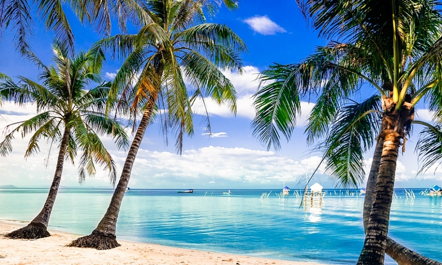 Tử vi hôm nay, tử vi 12 con giáp ngày 4/5/2022