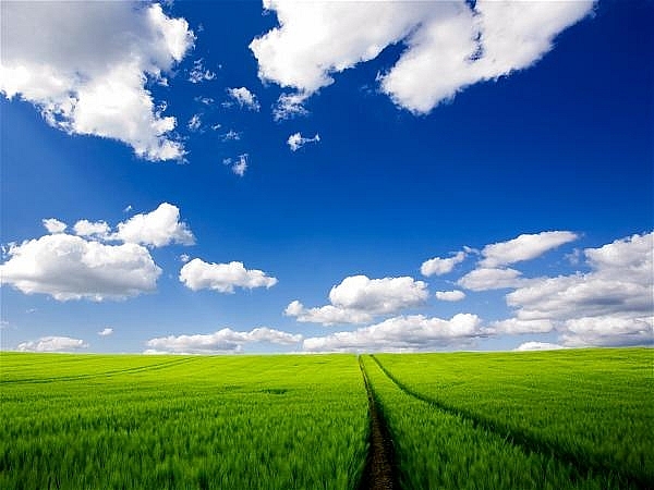 Tử vi hôm nay, tử vi 12 con giáp ngày 6/5/2022