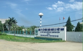 Bạc Liêu: Thu hồi đất Công ty Cổ phần Chăn nuôi C.P. Việt Nam