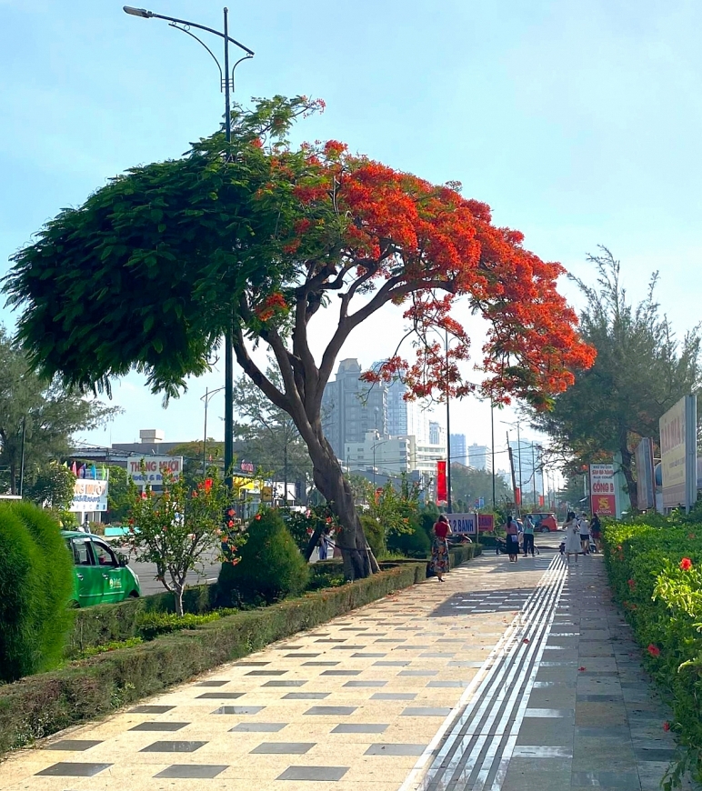 Tử vi hôm nay, tử vi 12 con giáp ngày 7/5/2022