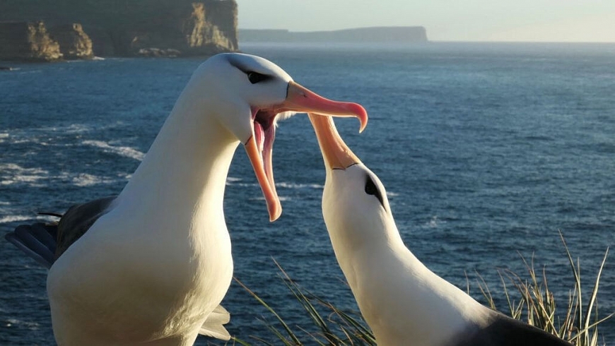 Tử vi hôm nay, tử vi 12 con giáp ngày 9/5/2022