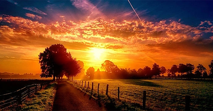 Tử vi hôm nay, tử vi 12 con giáp ngày 10/5/2022