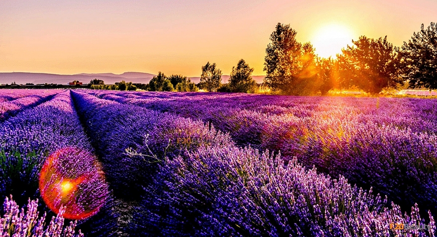 Tử vi 12 con giáp ngày 13/5/2022