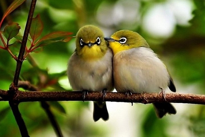 Tử vi hôm nay ngày 15/5/2022