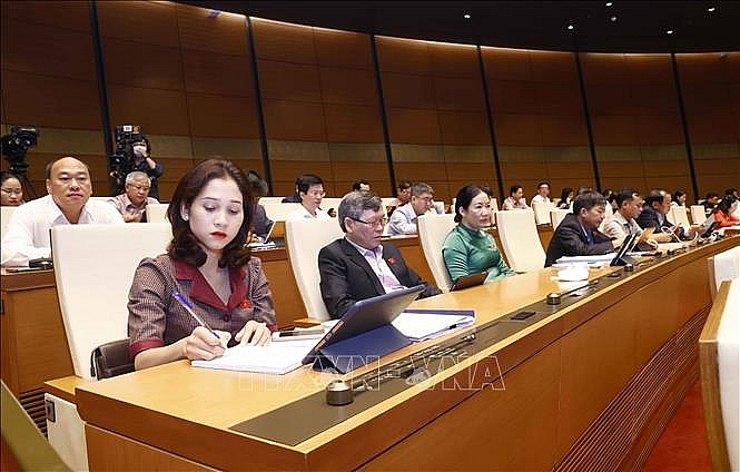 Đoàn đại biểu Quốc hội tỉnh Long An dự phiên họp. Ảnh: Doãn Tấn - TTXVN