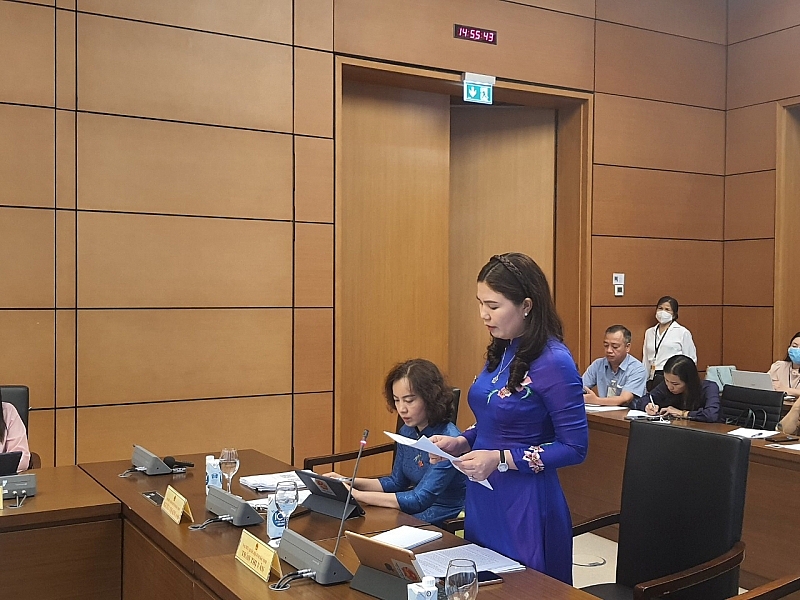 Đại biểu Trần Thị Vân phát biểu tại tổ.