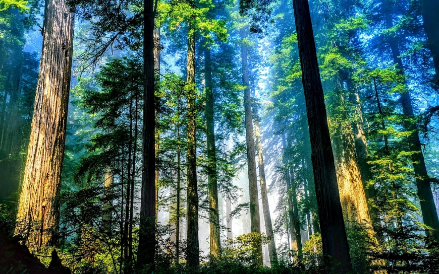 Tử vi 12 con giáp ngày 30/5/2022