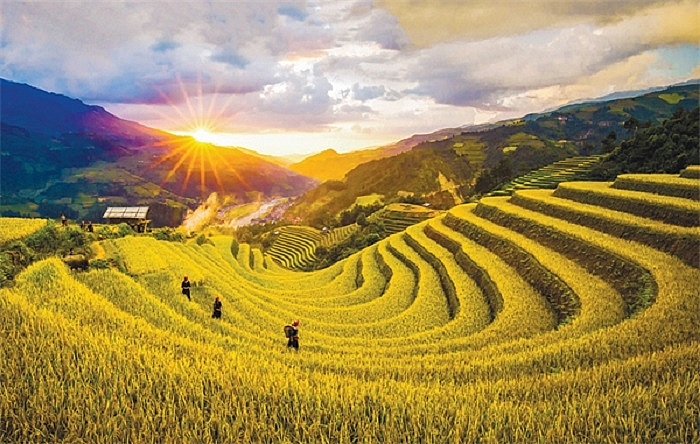 Tử vi 12 con giáp ngày 6/6/2022. Ảnh: Vũ Chiến