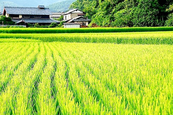 Tử vi 12 con giáp ngày 6/6/2022