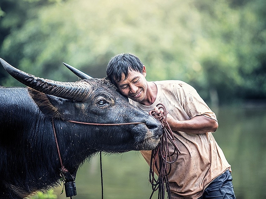 Tử vi 12 con giáp ngày 10/6/2022