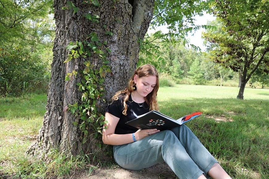 Ảnh minh hoạ Ảnh minh hoạ