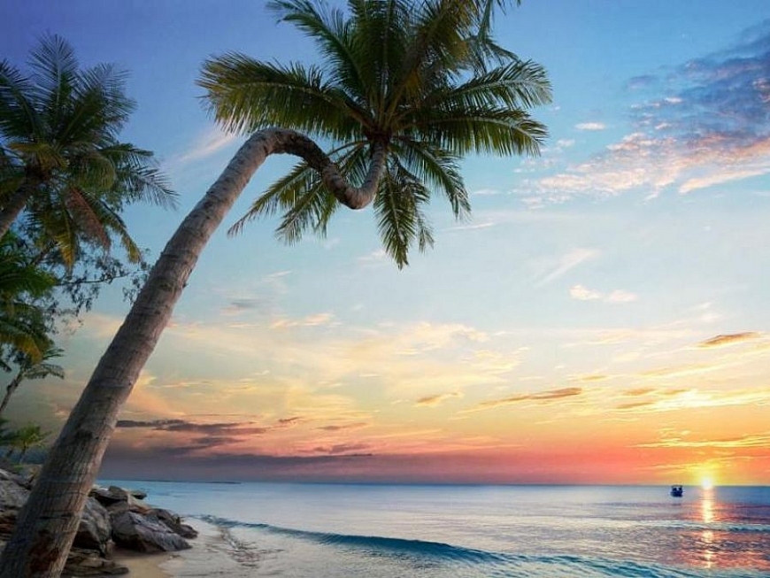 Tử vi 12 con giáp ngày 16/6/2022