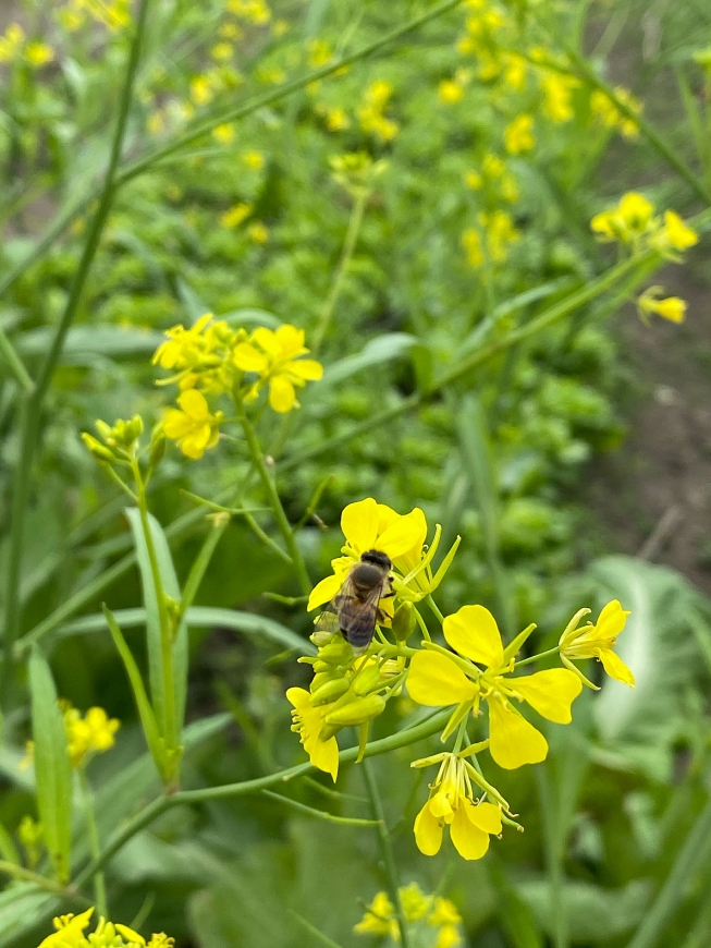 Tử vi 12 con giáp ngày 17/6/2022