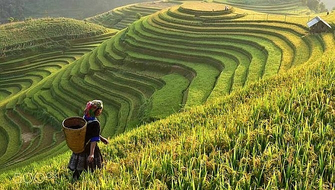 Tử vi 12 con giáp ngày 22/6/2022