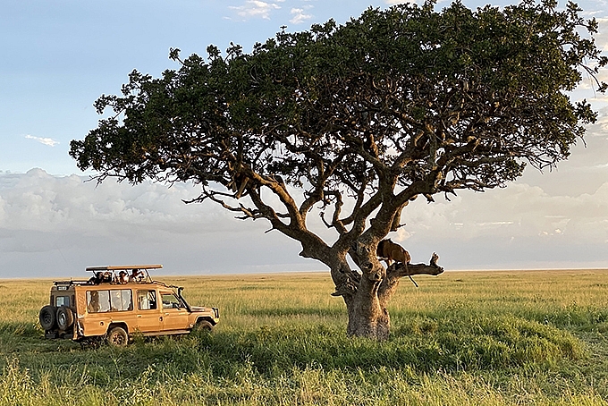 Tử vi 12 con giáp ngày 24/6/2022: Tuổi Dần công việc biến động