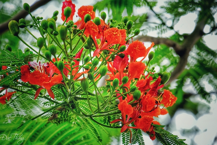 Tử vi 12 con giáp ngày 29/6/2022