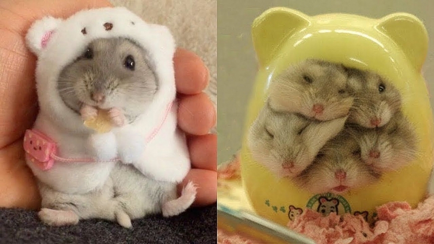 Tử vi 12 con giáp ngày 3/7/2022