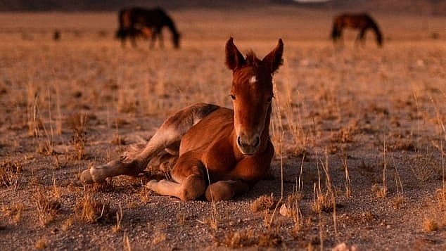 Tử vi 12 con giáp ngày 9/7/2022. Ảnh: CNN