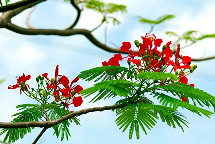 Tử vi 12 con giáp ngày 10/7/2022