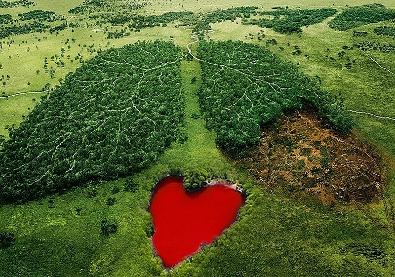 Tử vi 12 con giáp ngày 17/7/2022