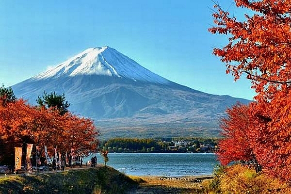 Tử vi 12 con giáp ngày 19/7/2022: Tuổi Thìn cần biết lắng nghe lời khuyên mọi người