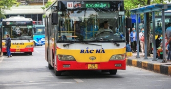 Hà Nội: Cho phép chỉ định thầu thay thế 5 tuyến buýt của Công ty Bắc Hà