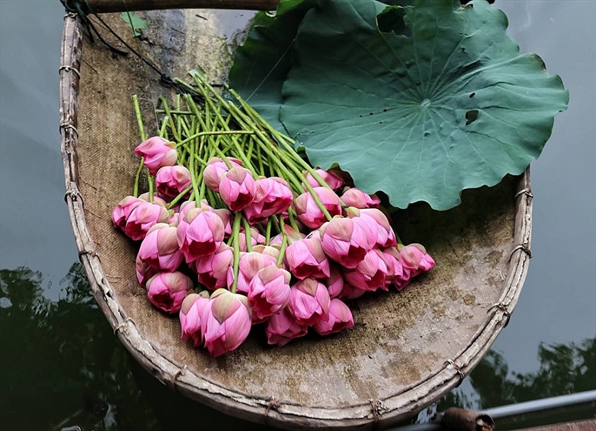 Tử vi 12 con giáp ngày 20/7/2022: Tuổi Tỵ đang có Hỏa Tinh nhập cục